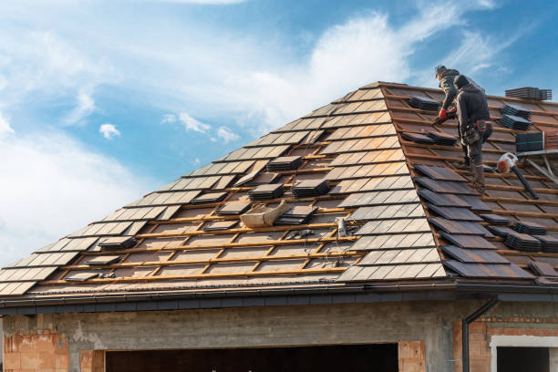 istockphoto-1445532563-612x612